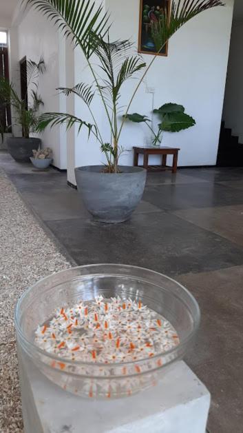 Akurala Beach Boutique Resort Extérieur photo