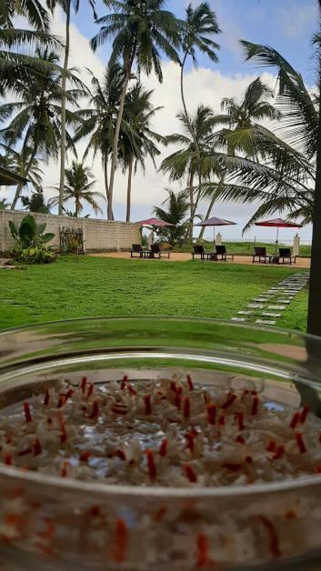 Akurala Beach Boutique Resort Extérieur photo